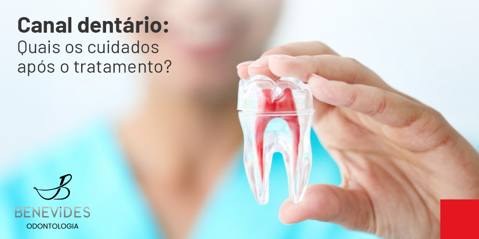 Canal dentário: Cuidados necessários após o tratamento